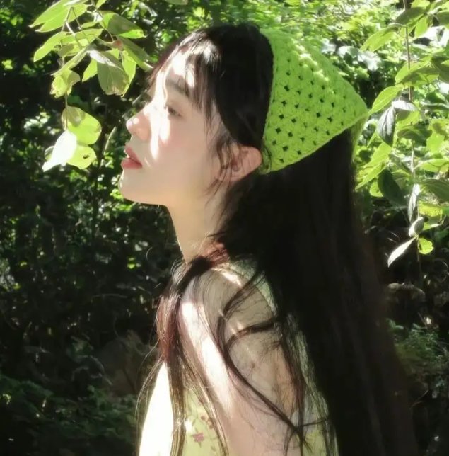 森林泰山